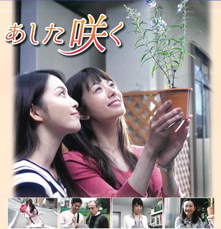 �u�n�[�g�t���E�V�l�}�v�@�l�����s���[���f���