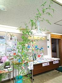 ���[�i���Ȃ΂��j����t��