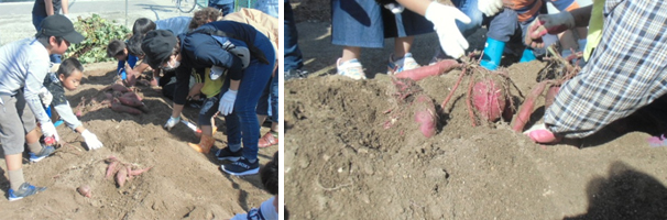 �����@����̗l�q