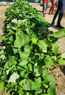 �����ق���@