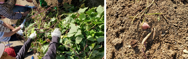 �����ق���