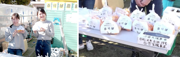 �₫�������