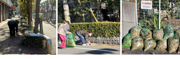 ���ɔV���@�n�����Đ��|�̗l�q