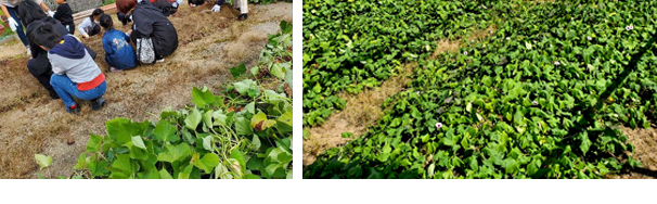 �����ق�̌��i�Z���^�[�앐�ɔV���j