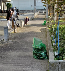 �n�����Ĕ����^���i�앐�ɔV���j