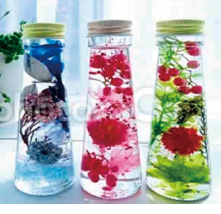 ���ǂ���|����