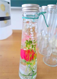 ���ǂ���|�����̗l�q