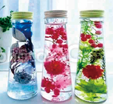 ���ǂ���|����